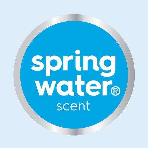 Dial Antibacterial Foaming Hand Wash Refill, Spring Water Scent, 1 gal, 4/Carton (35458)