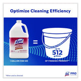 Lysol No Rinse Sanitizer Concentrate, 1 gal Bottle, 4/Carton (74389)