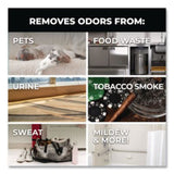 simple green Pro Odor Eliminator, Eucalyptus Scent, 1 gal Bottle, 6/Carton (4251128)