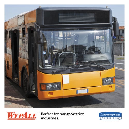 WypAll L10 Windshield Towels, Blue (05120)