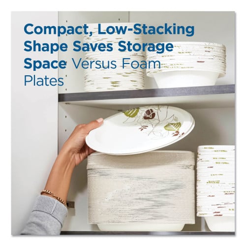 Dixie Pathways Soak Proof Shield Heavyweight Paper Plates, WiseSize, 8.5" dia, Green/Burgundy, 500/Carton (SXP9PATH)