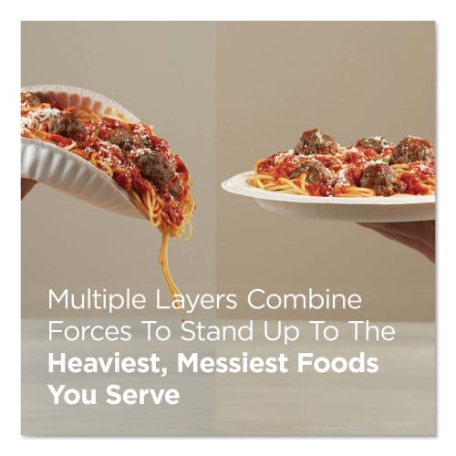 Dixie Pathways Soak Proof Shield Heavyweight Paper Plates, WiseSize, 8.5" dia, Green/Burgundy, 500/Carton (SXP9PATH)