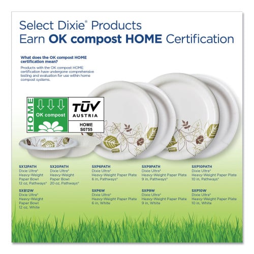 Dixie Pathways Heavyweight Paper Bowls, 20 oz, Green/Burgundy, 500/Carton (SX20PATH)