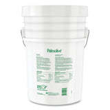 Palmolive Professional Dishwashing Liquid, Original Scent, 5 gal Pail (04917)