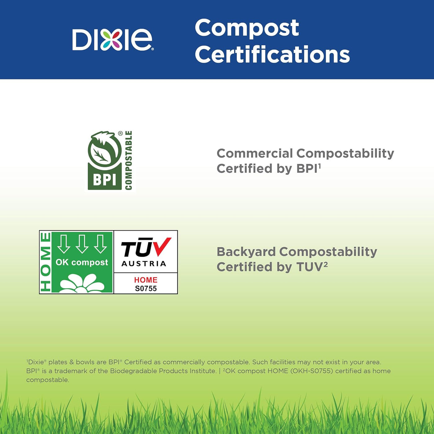 Dixie 8.5" Medium-Weight Paper Plates by GP PRO (Georgia-Pacific), Pathways, UX9WS, 500 Count (125 Plates Per Pack, 4 Packs Per Case)