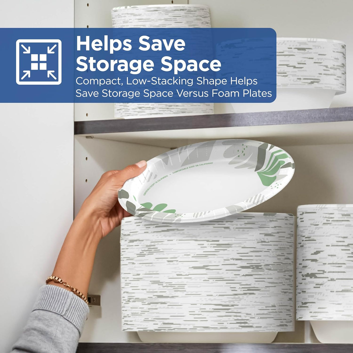 Dixie 8.5" Medium-Weight Paper Plates by GP PRO (Georgia-Pacific), Pathways, UX9WS, 500 Count (125 Plates Per Pack, 4 Packs Per Case)