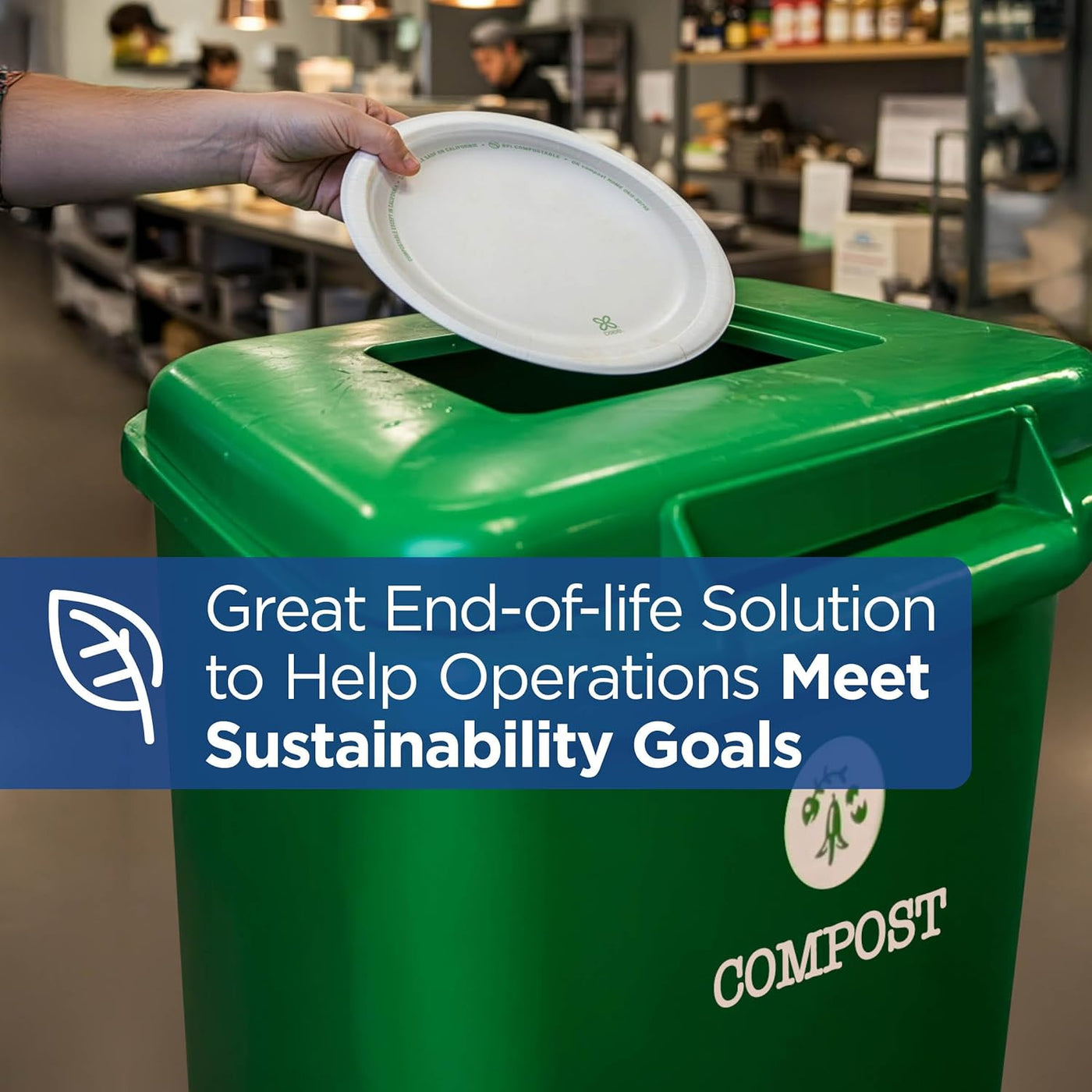 Dixie 8.5" Medium-Weight Paper Plates by GP PRO (Georgia-Pacific), Pathways, UX9WS, 500 Count (125 Plates Per Pack, 4 Packs Per Case)