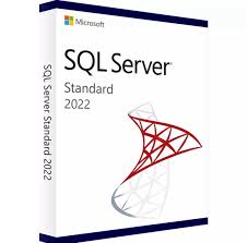 SQL Server 2022 Standard Unlimited Core + Unlimited CALs License